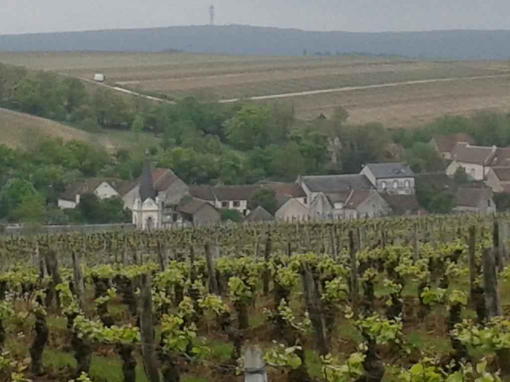 Le Clos Saint Martin Hotel Sancerre Bagian luar foto
