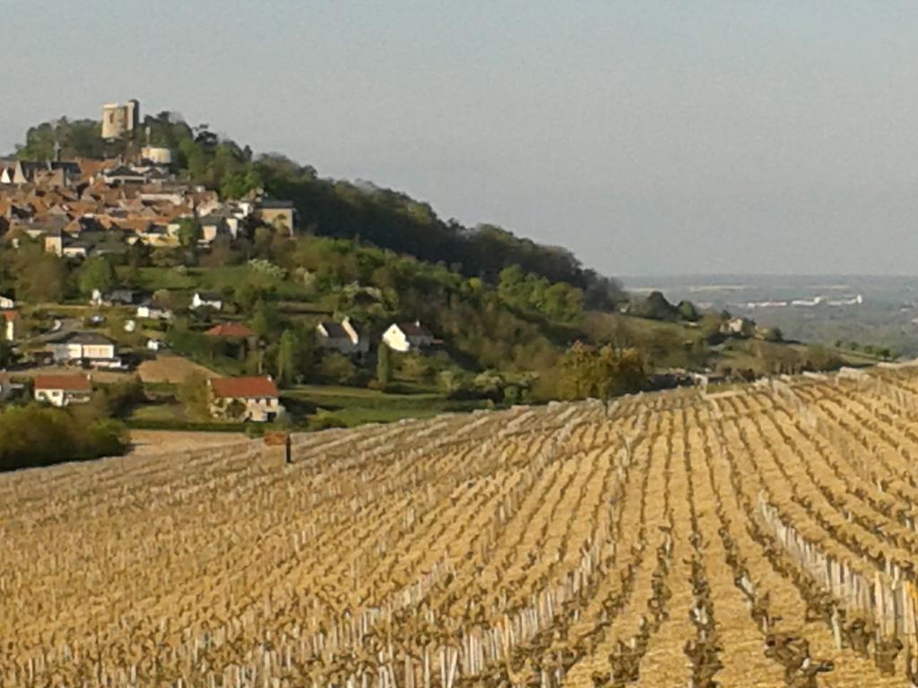 Le Clos Saint Martin Hotel Sancerre Bagian luar foto
